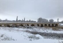 Antakya Mutfağının Zenginliği
