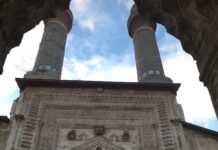 Ekosistemlerin Oluşumu ve Doğal İşleyişi